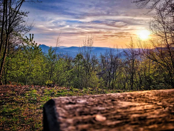 Bellissimo Paesaggio Nella Foresta Durante Tramonto Con Log Primo Piano — Foto Stock