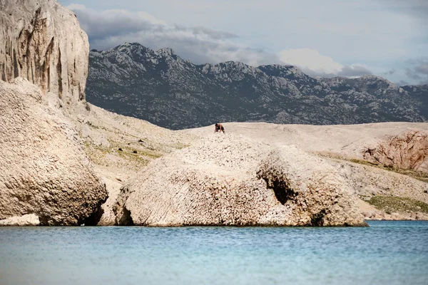 Una Costa Rocosa Pintoresca Lago Tranquilo Con Montañas Fondo — Foto de Stock
