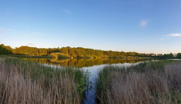 Una Splendida Vista Lago Calmo Circondato Alberi — Foto Stock