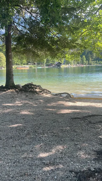 Vertical Shot Lake Surrounded Trees Sunny Day — Stock Photo, Image