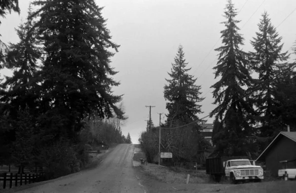 黒と白の美しい森の中に作られた細い道 — ストック写真