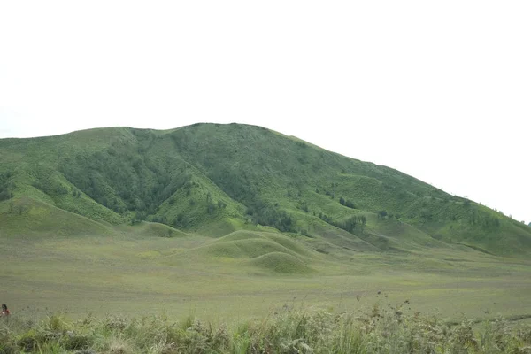 Uma Bela Paisagem Encosta Verde Uma Montanha — Fotografia de Stock