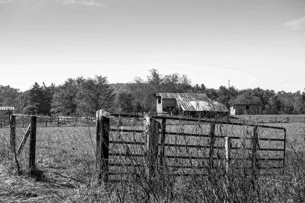 Uzakta Tarlaları Çiftlik Evleri Olan Bir Arazinin Gri Tonlu Görüntüsü — Stok fotoğraf
