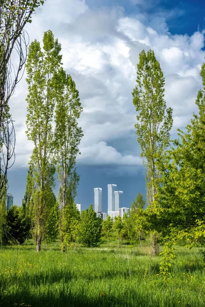 Pionowy Strzał Wellton Towers Moskvoretsky Dendropark Pod Zachmurzonym Niebem — Zdjęcie stockowe
