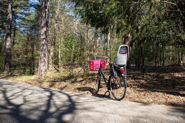 Uma Bicicleta Com Rosa Frente Assento Criança Caminho Parque Nacional — Fotografia de Stock