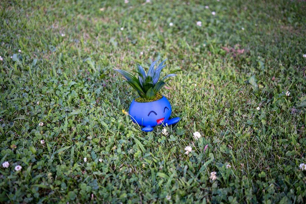 Close Pokemon Oddish Plantador Sentado Campo Gramado — Fotografia de Stock