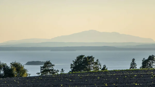 スウェーデンを背景に山のある湖の近くの牧草地の美しい景色 — ストック写真