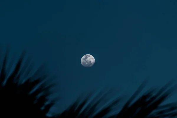 Luna Piena Nel Cielo Notturno Blu — Foto Stock