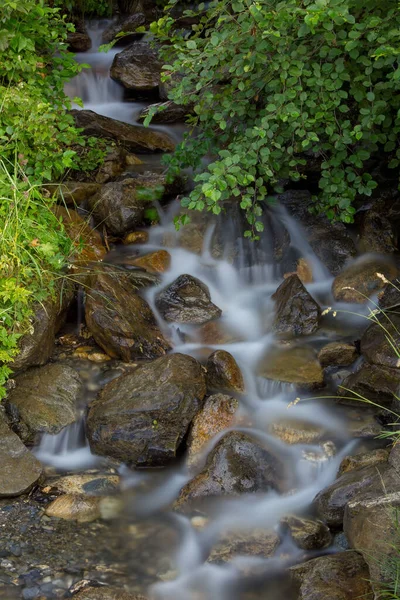 Eine Vertikale Aufnahme Eines Fließenden Baches Auf Felsen Mit Pflanzen — Stockfoto