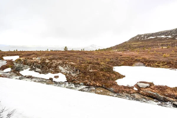 Een Uitzicht Een Rivier Omringd Door Wilde Landschap Sneeuw Smeltende — Stockfoto