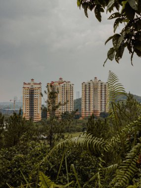 Bulutlu bir günde, yeşil eğreltiotu bitkileri ve ağaçların dikey olarak modern binalara karşı.