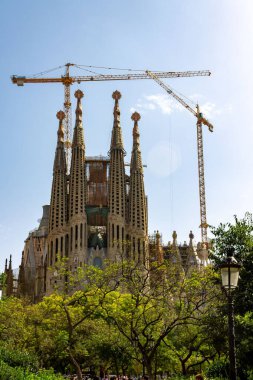 Sagrada Familia Bazilikası 'nın dikey çekimi. Önünde çiçek açmış bir ağaç var.