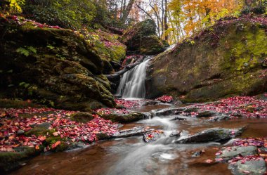 Ormanda akan güzel bir şelalenin alçak açılı görüntüsü.