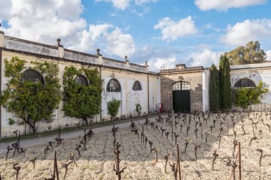 Güneşli bir günde İspanya, Jerez de la Frontera 'da bir şarap mahzeninin cephesi