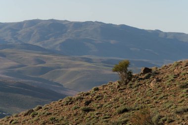 Reno Nevada 'da güzel bir tepe manzarası ufukta mavi bir gökyüzünün altında
