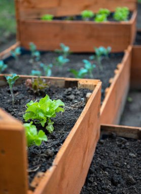 Bir arabanın yuvarlak menfezlerinin gri tonlu seçici odak noktası.