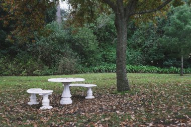 Cape Town 'daki Groot Constantia Şarap Çiftliği' nde güzel bir masa manzarası.