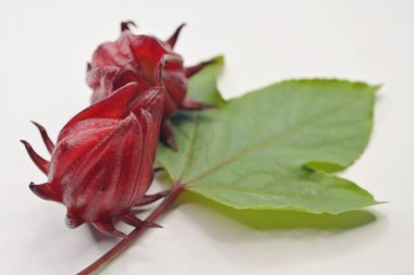 Roselle bitkisinin kırmızı kalibreleri olan Hibiscus Sabdariffa, C & anthocyanin açısından zengin bir içeceğe karıştırılabilir ya da reçele dönüştürülebilir..