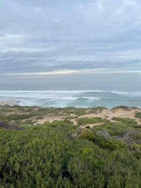 Sabah yürüyüşünden sonra Mornington Yarımadası Ulusal Parkı 'ndan Sabah Manzarası.