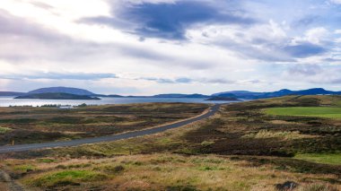 İzlanda 'nın arka planında okyanus olan tarlalarla çevrili güzel bir yol manzarası.