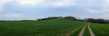 Bulutlu gökyüzünün altındaki yeşil çimlerin arasından geçen panoramik bir yol görüntüsü.