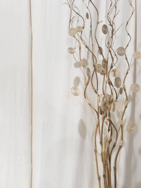 İç dekorasyon için güzel sarmal dallara yakın çekim.