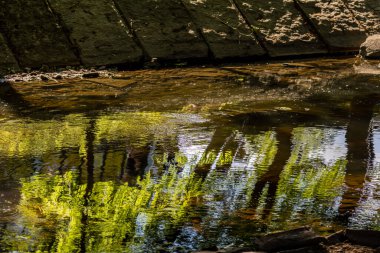 Oslo Norveç Sanat Akademisi 'nde Akerselva