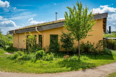 Modern Hollandalı mahallesinde yeşil çatılı sürdürülebilir çevre dostu ev