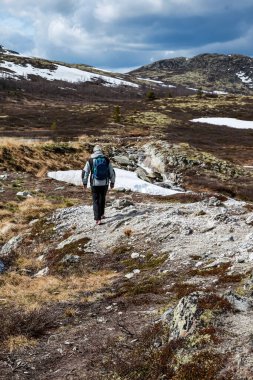 Kuru doğa ve karla çevrili kırsal bir alanda yürüyüş yapan bir adamın dikey görüntüsü.