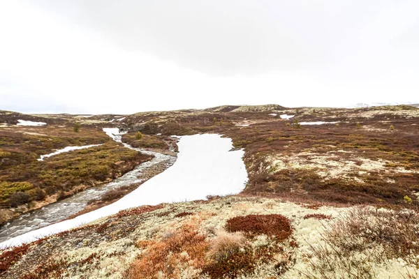 Een Uitzicht Een Rivier Omringd Door Wilde Landschap Sneeuw Smeltende — Stockfoto