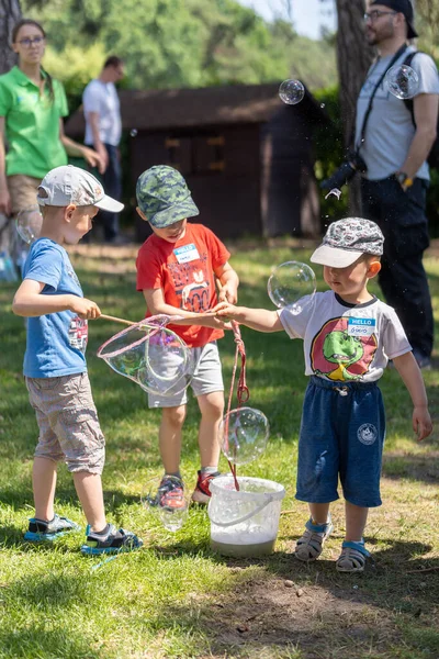 ポーランド ポズナンのライオンデル バセル ファミリー ピクニックでシャボン玉を作る子供たちの垂直ショット — ストック写真
