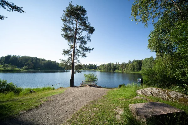 Uma Bela Vista Caminho Que Leva Lago Cercado Por Plantas — Fotografia de Stock