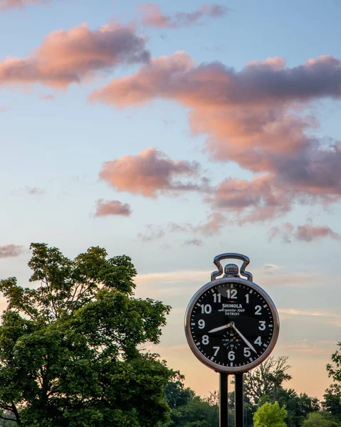 Vertical Shot Park Clock Trees Evening Sky Background — Stock Photo, Image