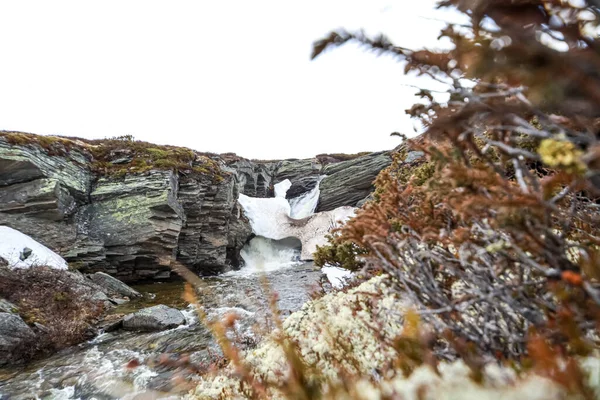 雪の中で野生の風景に囲まれた川の景色融解時間 — ストック写真