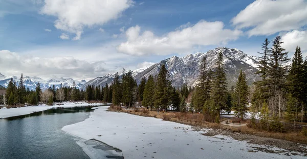 Egy Gyönyörű Táj Fák Egy Fagyott Folyó Havas Hegyek Banff — Stock Fotó