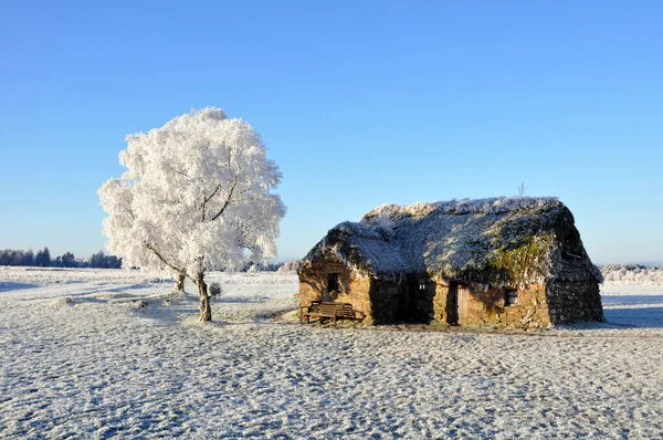 Paisaje Congelado Con Una Cabaña Entre Los Árboles Sobre Fondo —  Fotos de Stock