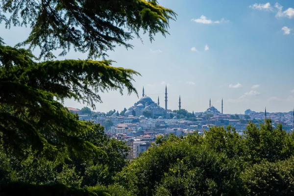 Uma Vista Cidade Istambul Com Mesquita Azul Distância Turquia — Fotografia de Stock