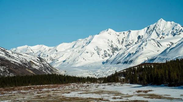 Een Prachtig Uitzicht Een Besneeuwde Bergketen Met Bos Veld Voorgrond — Stockfoto