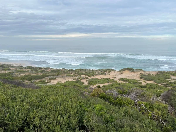 Vista Panoramica Mattutina Dal Parco Nazionale Peninsulare Mornington Dopo Escursione — Foto Stock