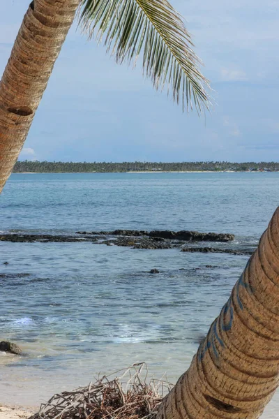フィリピンの青い空の下にヤシの木がある島のビーチの美しい景色 — ストック写真