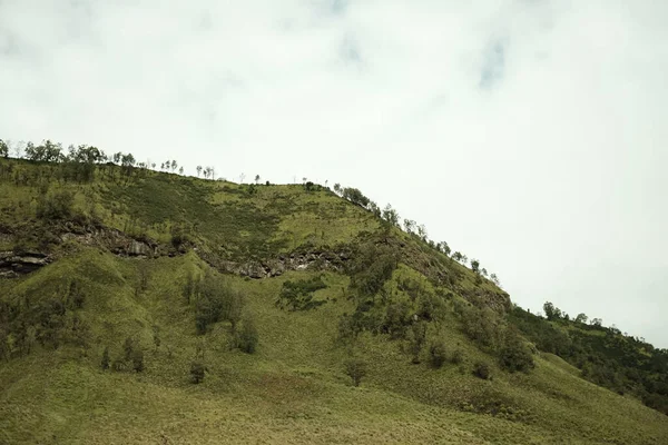 Uma Bela Paisagem Encosta Verde Uma Montanha — Fotografia de Stock