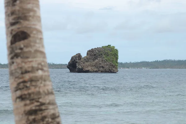 Krásný Výhled Obrovský Kámen Moři Palmu Popředí — Stock fotografie
