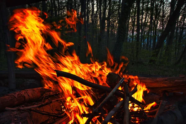 Nahaufnahme Eines Feuers Mit Funken Wald — Stockfoto