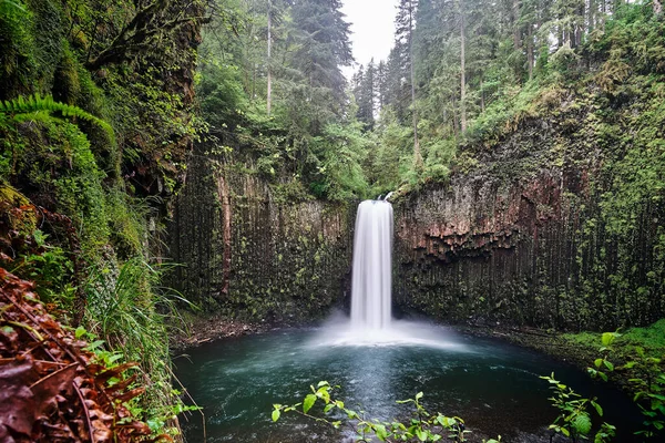 Uno Scatto Mozzafiato Dell Abiqua Cade Oregon Stati Uniti Con — Foto Stock