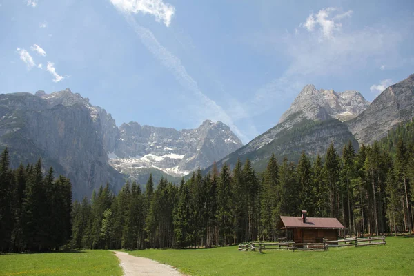 Ein Schöner Blick Auf Ein Kleines Holzhaus Mit Tannenwald Und — Stockfoto