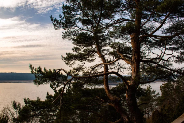 Una Hermosa Vista Árbol Con Lago Colinas Fondo —  Fotos de Stock
