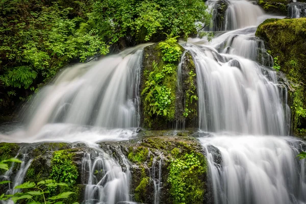 Una Cascata Che Scorre Sulle Rocce Immersa Nel Verde — Foto Stock