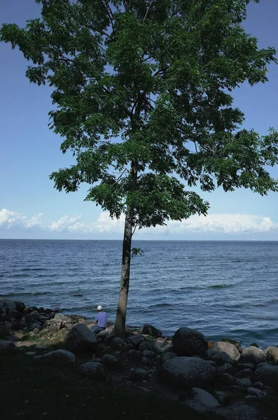 Vertical Shot Person Sitting Tall Tree Rocky Shore Tranquil Sea — Stock Photo, Image