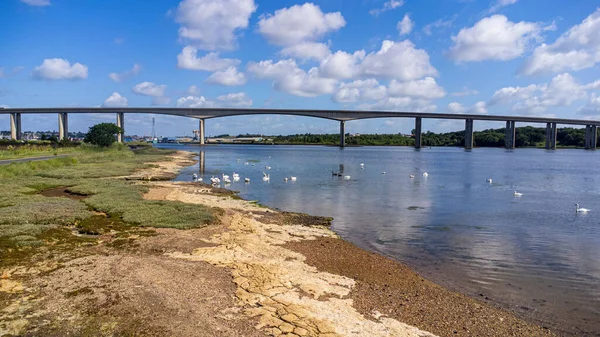 Una Vista Natural Del Puente Orwell Sobre Río Tranquilo Con —  Fotos de Stock