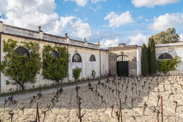 Facade Wine Cellar Jerez Frontera Spain Sunny Day — Stock Photo, Image